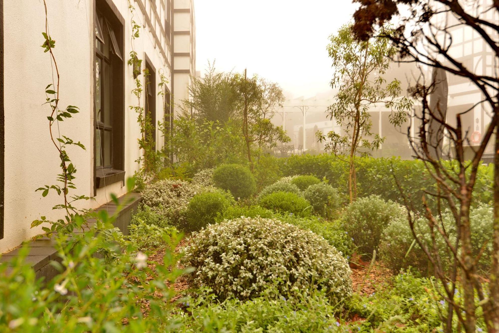Anew Hotel Hilton Pietermaritzburg Luaran gambar